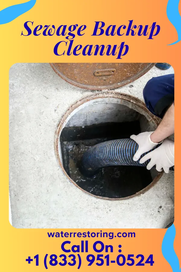 Sewage Backup Cleanup in Ider, AL